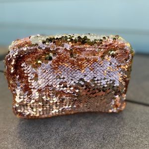 Sequined Cosmetic Bag